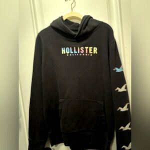 Hollister Hoodie